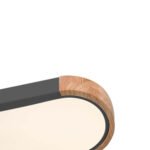 Dimmable Minimalist Long Oval Flush Mount LED Light