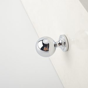 Seine Cabinet Knob | Polished Silver & Champagne Gold Round Knob for Drawers & Dressers, Modern Hardware with Optional Backplate